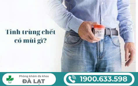 Hình ảnh minh họa